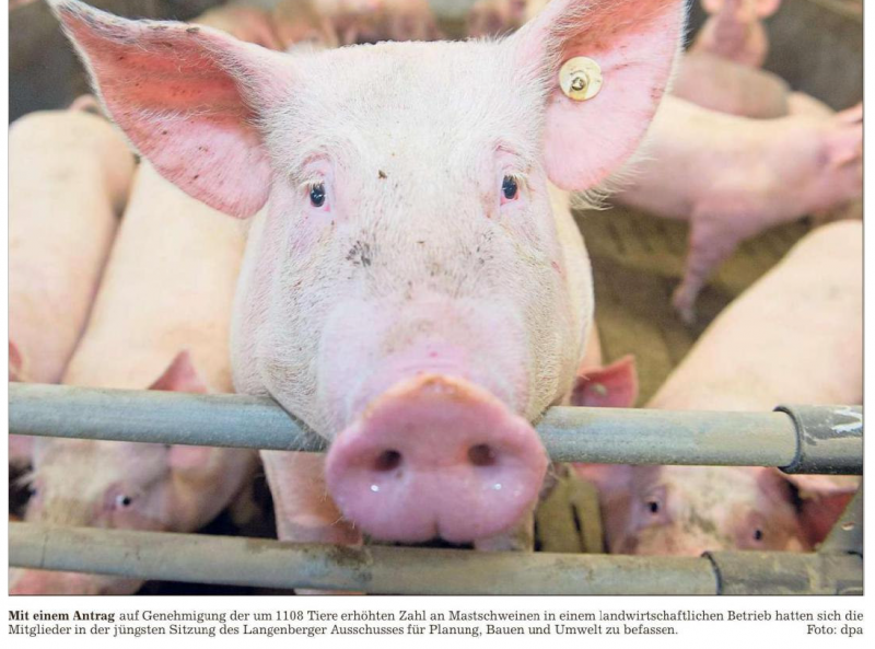Mastanlage für Schweine in Benteler soll erweitert werden